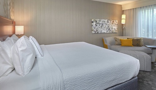 Room, 1 King Bed with Sofa bed