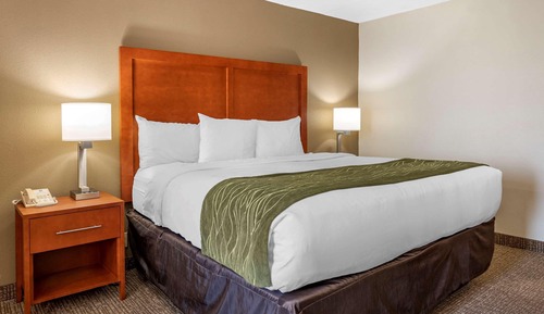 Standard Room, 1 King Bed, Non Smoking