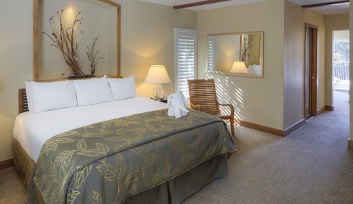 Junior Suite, 1 King Bed, Park View