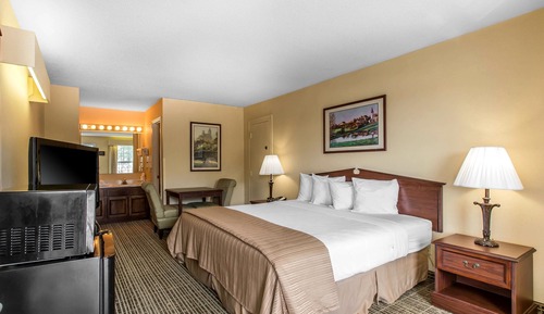 Room, 1 King Bed, Accessible, Non Smoking