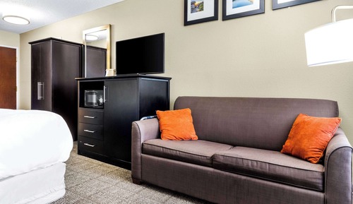 Room, 1 King Bed with Sofa bed, Accessible, Non Smoking