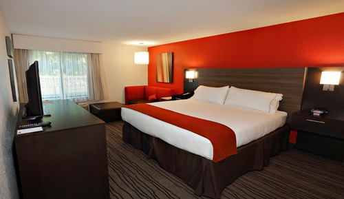 Standard Room, 1 King Bed, Accessible (Communication, Roll-In Shower)