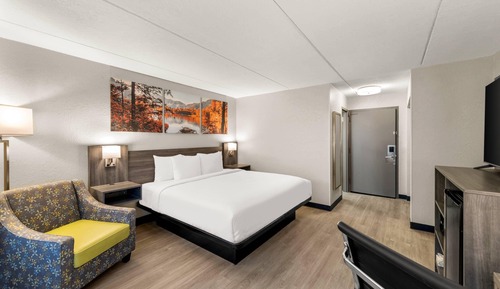 Standard Room, 1 King Bed, Non Smoking (Pet-Friendly)