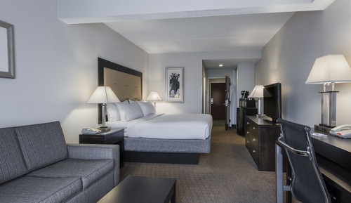 Standard Room, 1 King Bed, Roll-in Shower (Communications, Roll-In Shower)