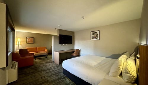 Business Room, 1 King Bed, Non Smoking