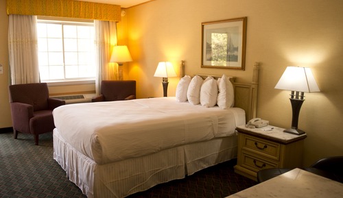 Room, 1 Queen Bed, Non Smoking