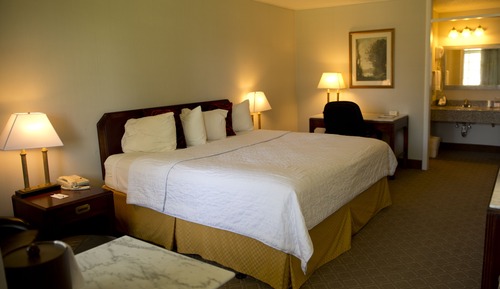 Room, 1 King Bed, Non Smoking