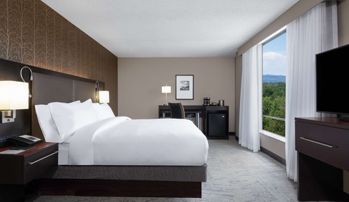 Room, 1 Queen Bed, Accessible, Bathtub (Mobility & Hearing)
