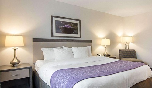 Room, 1 King Bed, Non Smoking