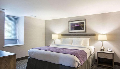 Premier Suite, 1 King Bed with Sofa bed, Non Smoking, Kitchenette (Efficiency)