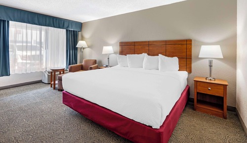 Standard Room, 1 King Bed, Non Smoking, Refrigerator & Microwave