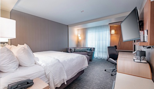 Room, 1 King Bed with Sofa bed