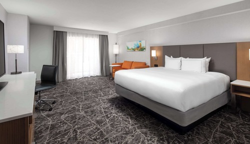 1 King Bed, Accessible, Non Smoking