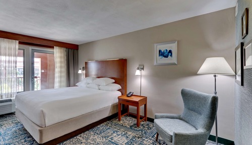 Deluxe Room, 1 King Bed, Refrigerator & Microwave (Terrace)
