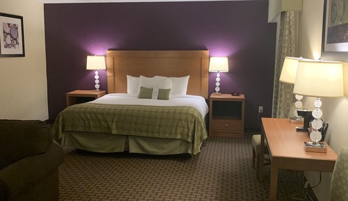Suite, 1 King Bed, Non Smoking, Poolside (3rd Floor)