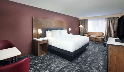 Room, 1 King Bed with Sofa bed