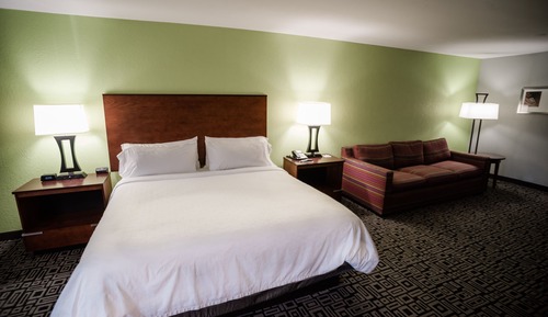 Standard Room, 1 King Bed with Sofa bed