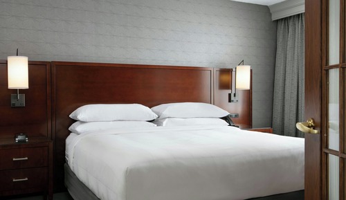 Room, 1 King Bed, Non Smoking (Mobility Accessible, Roll-in Shower)