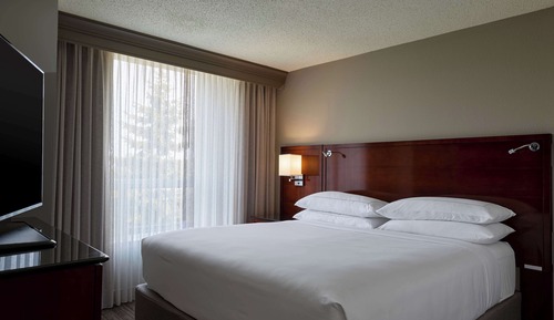 Suite, 1 King Bed