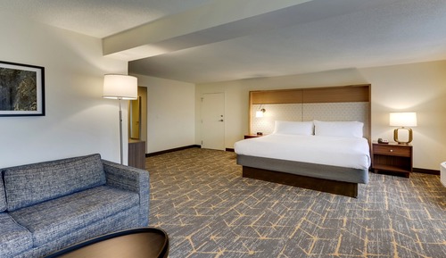 Room, 1 King Bed, Accessible Bathtub, Balcony (Communications)