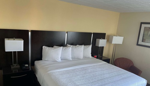 Room, 1 King Bed, Non Smoking