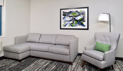 Suite, 1 King Bed with Sofa bed