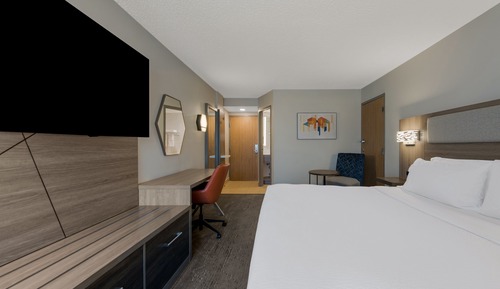 Standard Room, 1 King Bed, Accessible (Hearing)