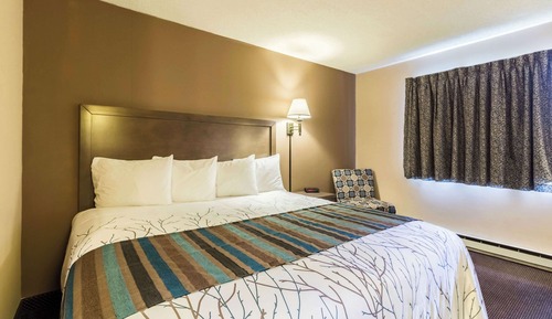 Room, 1 King Bed, Non Smoking