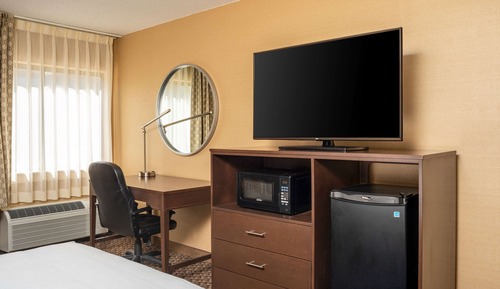 Room, 1 King Bed, Non Smoking (Pet Friendly)