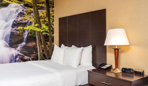 Standard Room, 2 Double Beds, Non Smoking