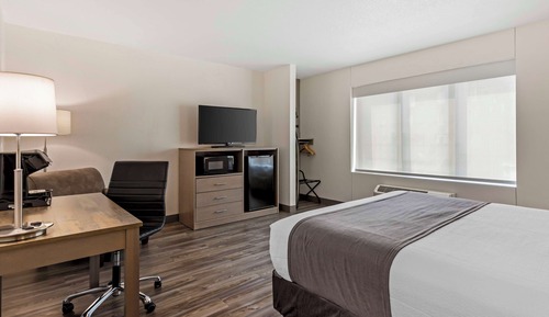 Standard Room, 1 Queen Bed, Accessible, Refrigerator & Microwave
