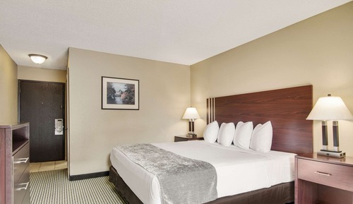 Standard Room, 1 King Bed, Non Smoking