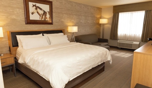Standard Room, 1 King Bed, Accessible (Mobility, Roll-In Shower)