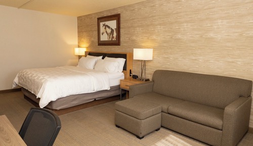 Room, 1 King Bed, Accessible (Communications, Accessible Tub)