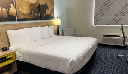 Room, 1 King Bed, Accessible, Non Smoking (Roll-In Shower)