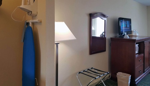 Standard Room, 1 King Bed, Non Smoking, Refrigerator & Microwave (Pet Friendly)