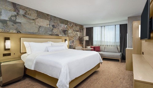 Room, 1 King Bed