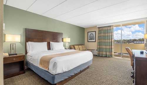 Standard Room, 1 King Bed with Sofa bed