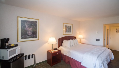 Standard Room, 1 King Bed, Non Smoking