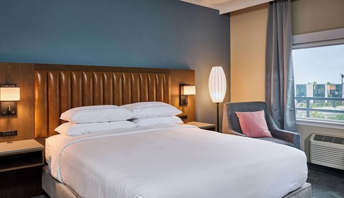 Suite, 1 King Bed