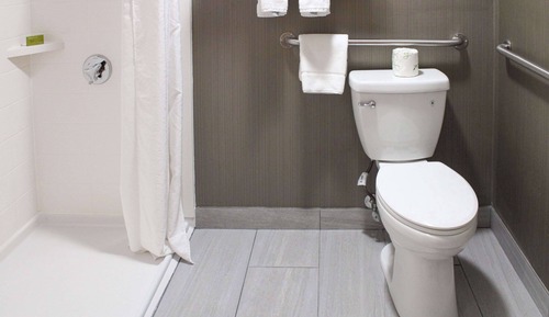 Room, 1 King Bed, Accessible, Non Smoking (Roll-In Shower)
