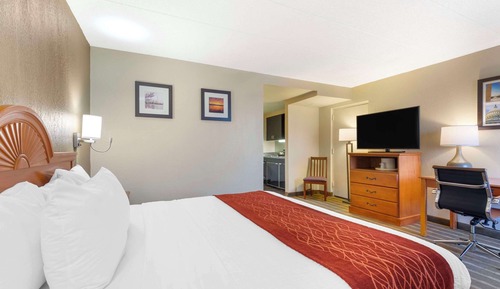 Room, 1 King Bed, Accessible, Non Smoking (Efficiency)