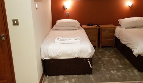 Log Cabin Accessible Twin