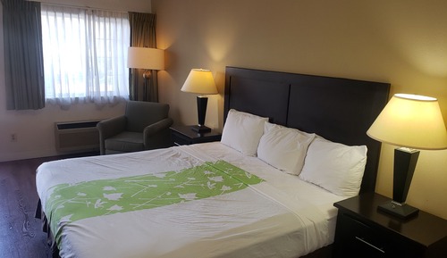 Standard Room, 1 King Bed