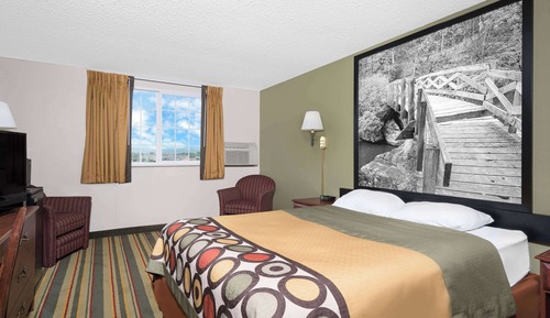 Room, 1 King Bed, Non Smoking (Pet Friendly)