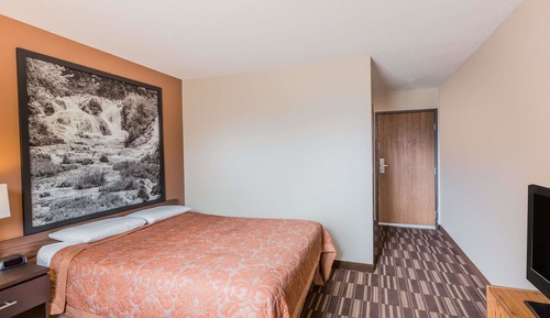 Room, 1 Queen Bed, Mobility Accessible, Non Smoking (Roll-In Shower)