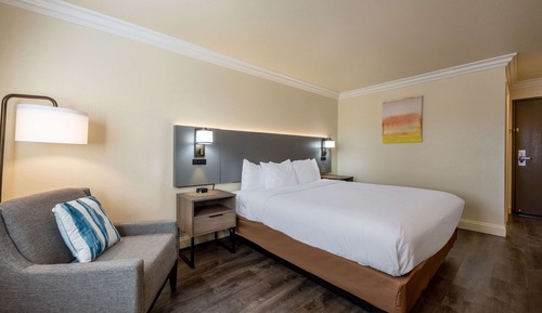 Standard Room, 1 King Bed, Non Smoking