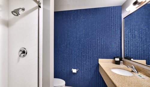 Studio, 1 King Bed with Sofa bed, Non Smoking (Hearing Accessible)