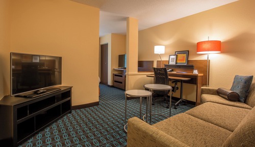 Suite, 1 King Bed with Sofa bed