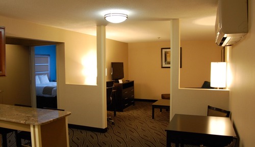 Suite, 1 King Bed, Non Smoking (Feature)